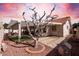 Backyard features a covered patio, desert landscaping, and unique tree for a peaceful outdoor space at 2506 S Acanthus --, Mesa, AZ 85209