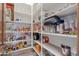 Walk-in pantry with lots of shelving to store canned goods, snacks, and other food products at 29423 N 145Th Pl, Scottsdale, AZ 85262
