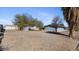 Large backyard with trees and gravel surface, offering ample outdoor space and natural elements at 606 E Baseline Rd, Buckeye, AZ 85326