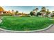 Expansive backyard featuring a meticulously maintained lawn, vibrant flowering shrubs, and tall palm trees at 10541 E Windrose Dr, Scottsdale, AZ 85259