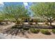Charming front yard features mature trees and desert landscaping with a stone border at 11212 N Miller Rd, Scottsdale, AZ 85260