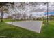 Outdoor basketball court surrounded by trees and grass in a park setting, perfect for recreation at 13547 W Peck Dr, Litchfield Park, AZ 85340