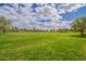 Picturesque view of the expansive green space with mature trees and landscaping, with houses nearby under partly cloudy skies at 13547 W Peck Dr, Litchfield Park, AZ 85340