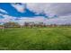 Expansive green space in park, with lush grass, mature trees, and serene atmosphere under a cloudy sky at 13547 W Peck Dr, Litchfield Park, AZ 85340