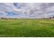 Expansive green space in park, with lush grass, mature trees, and serene atmosphere under a cloudy sky at 13547 W Peck Dr, Litchfield Park, AZ 85340