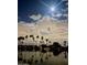 Beautiful night view of the lake reflecting moonlight and waterfront homes surrounded by palm trees at 13819 N Crown Pt, Sun City, AZ 85351