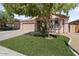 Traditional style home featuring a well maintained front yard with desert landscaping and a mature tree at 14994 W Charter Oak Rd, Surprise, AZ 85379