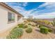 Gravel landscaping with desert plants surrounds stucco home exterior at 17347 W Chama Dr, Surprise, AZ 85387