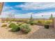 Backyard featuring desert landscaping and wrought iron fence at 17347 W Chama Dr, Surprise, AZ 85387