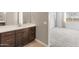 Bathroom with dark cabinets, carpet, and natural light at 17347 W Chama Dr, Surprise, AZ 85387