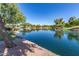 Scenic lake view showcasing calm waters, mature trees, and carefully designed surroundings at 2744 E Donato Dr, Gilbert, AZ 85298