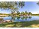 Picturesque pond view with lush landscaping, rocks, and serene water features, surrounded by mature trees at 2744 E Donato Dr, Gilbert, AZ 85298