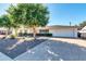 Well-maintained single story home featuring a spacious driveway and a mix of desert landscaping and shade trees at 3326 N 82Nd Pl, Scottsdale, AZ 85251