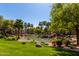 Community pond surrounded by palm trees, landscaping, and lush green grass at 5345 E Van Buren St # 308, Phoenix, AZ 85008