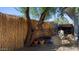 An enclosed backyard pen surrounded by bamboo fencing at 5809 W Morten Ave, Glendale, AZ 85301