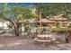 Community outdoor kitchen and picnic area featuring a grill and seating, surrounded by mature trees at 8055 E Thomas Rd # A102, Scottsdale, AZ 85251