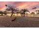 Ranch-style home with desert landscaping, palm trees, and a secure fenced yard, perfect for outdoor enjoyment at 14013 N 57Th Pl, Scottsdale, AZ 85254