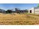 The enormous backyard features a storage building and offers ample space for activities at 14251 N 182Nd Ave, Surprise, AZ 85388