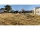Expansive backyard featuring a vintage tire swing, and room to roam at 14251 N 182Nd Ave, Surprise, AZ 85388
