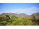 A landscape shot shows desert vegetation with mountains in the background at 20100 N 78Th Pl # 2210, Scottsdale, AZ 85255