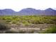 A desert landscape featuring low-lying desert vegetation with mountains in the background at 20100 N 78Th Pl # 2210, Scottsdale, AZ 85255