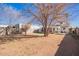 Spacious backyard featuring mature trees and outdoor recreation area at 2320 E Harvard St, Phoenix, AZ 85006