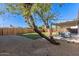 Spacious backyard featuring a covered patio with seating, lush lawn, and a charming, leaning tree at 2418 W Flower St, Phoenix, AZ 85015