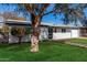 Inviting home with a mature tree in the yard and a neat walkway, enhancing its curb appeal at 2418 W Flower St, Phoenix, AZ 85015