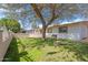 Spacious backyard with lush lawn and mature tree, offering a serene outdoor space at 416 W Chambers St, Phoenix, AZ 85041