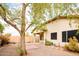 Backyard featuring desert landscaping, pavers, and shade from a large tree at 45049 W Cypress Ln, Maricopa, AZ 85139