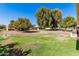 Lush backyard lawn surrounded by mature trees, offering ample shade at 10439 W Saratoga Cir, Sun City, AZ 85351