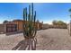 Expansive backyard with desert landscaping and a tall cactus feature creating a serene outdoor space at 10718 W Welk Dr, Sun City, AZ 85373