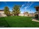 Lush green backyard featuring mature trees, a well manicured lawn at 1506 E Gemini Dr, Tempe, AZ 85283