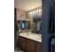 The bathroom features a double vanity and a stylish dolphin-themed decor at 15266 N 146Th Ln, Surprise, AZ 85379