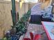 Landscaped backyard with thriving plants and outdoor furniture at 2150 E Bell Rd # 1048, Phoenix, AZ 85022