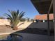 Relaxing backyard with a sparkling pool, palm tree, covered patio, and privacy wall at 25646 W Elwood St, Buckeye, AZ 85326