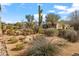 Desert landscape with mature cacti, shrubs, and native plants for easy maintenance at 27913 N Walnut Creek Rd, Rio Verde, AZ 85263