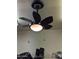 A black ceiling fan with petal-shaped blades, centered with an elegant light, adding style and comfort at 3212 E Constance Way, Phoenix, AZ 85042