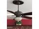 Elegant ceiling fan with a decorative medallion and a frosted glass light fixture at 3212 E Constance Way, Phoenix, AZ 85042