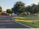 Residential street with mature trees and sidewalks, creating a walkable and welcoming neighborhood ambiance at 3212 E Constance Way, Phoenix, AZ 85042