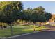 Residential street with mature trees and sidewalks, creating a walkable and welcoming neighborhood ambiance at 3212 E Constance Way, Phoenix, AZ 85042