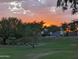 Scenic sunset view over a lush green lawn and mature trees, highlighting the property's tranquil setting at 3212 E Constance Way, Phoenix, AZ 85042