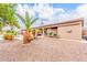 The lush backyard features mature palm trees surrounding the pool and home creating a private outdoor oasis at 3464 E Dartmouth St, Mesa, AZ 85213