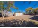 View of a dirt backyard featuring a storage shed, mature landscaping, and block wall at 516 E Mesquite Ave, Apache Junction, AZ 85119