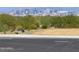 Street-level shot showing the Phoenix skyline in the distance with mature landscaping in between at 9831 S 11Th St, Phoenix, AZ 85042