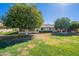 Lawn with mature trees at 14006 N Tumblebrook Way, Sun City, AZ 85351