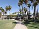 Inviting community pool area featuring palm trees, a lighthouse slide providing a resort-like living experience at 17560 W Desert View Ln, Goodyear, AZ 85338