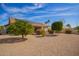 Spacious backyard with desert landscaping, vibrant orange trees, solar panels, and a covered patio perfect for outdoor living at 21402 N 158Th Dr, Sun City West, AZ 85375