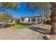 Inviting single-story home showcasing well-kept lawn, beautiful trees, and a brick driveway leading to the house at 2219 N 13Th St, Phoenix, AZ 85006