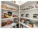 Walk-in pantry with organized shelving, baskets, and clear containers for efficient storage at 22962 N 182Nd Ln, Surprise, AZ 85387